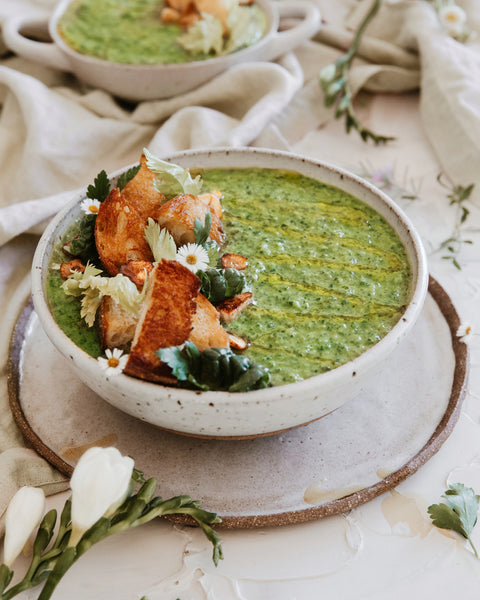 Garden Veggie Soup